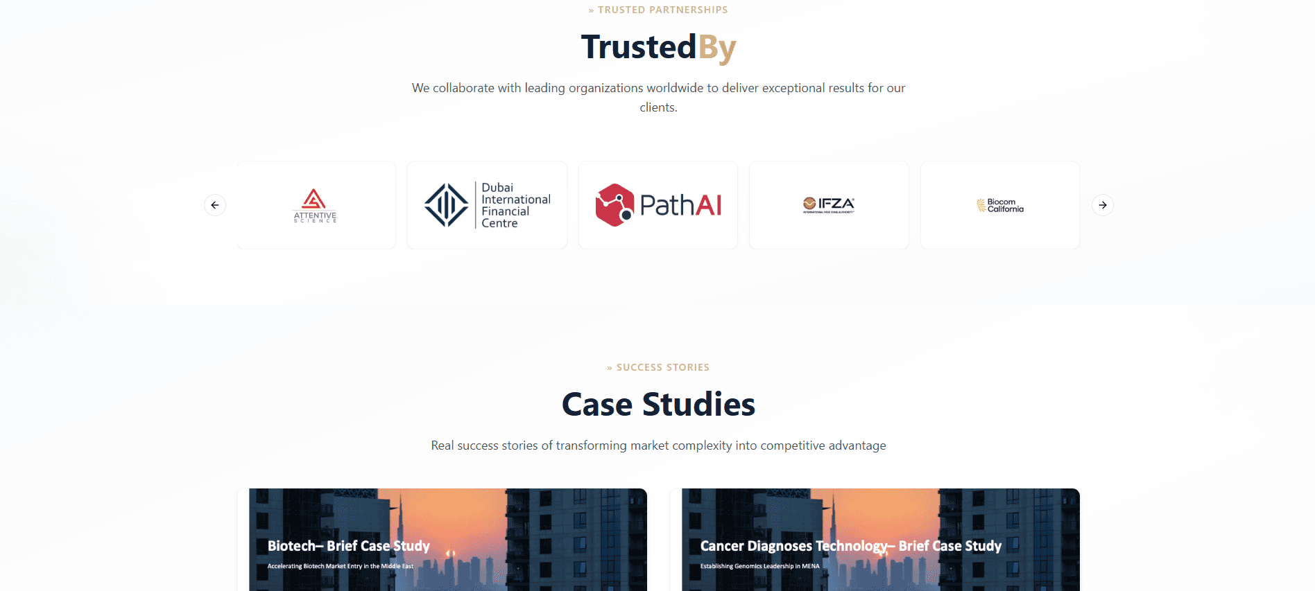 Ember Consulting Group — Global Market Expansion portfolio additional view — Fredocloud Dubai UAE